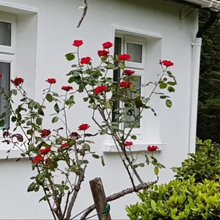 Lakeside House בית נופש