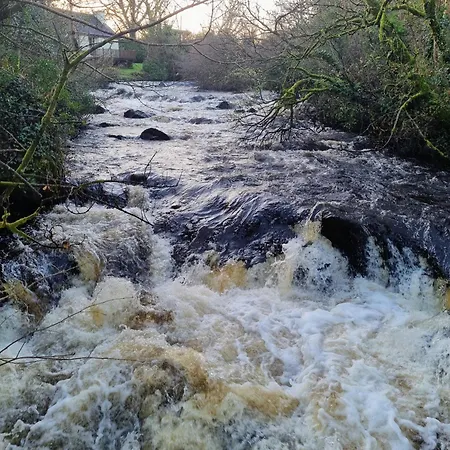 別荘 Lakeside House *