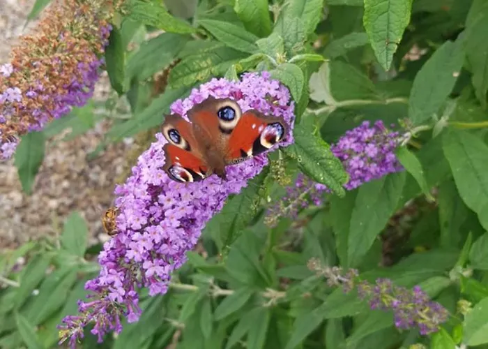 Сasa de vacaciones Lakeside House *